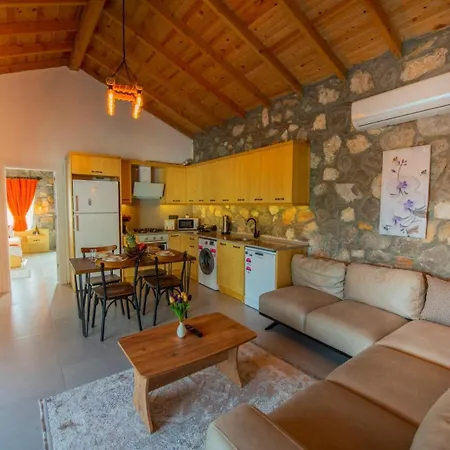 Villa Yigit Ciftlik *